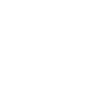 tunica